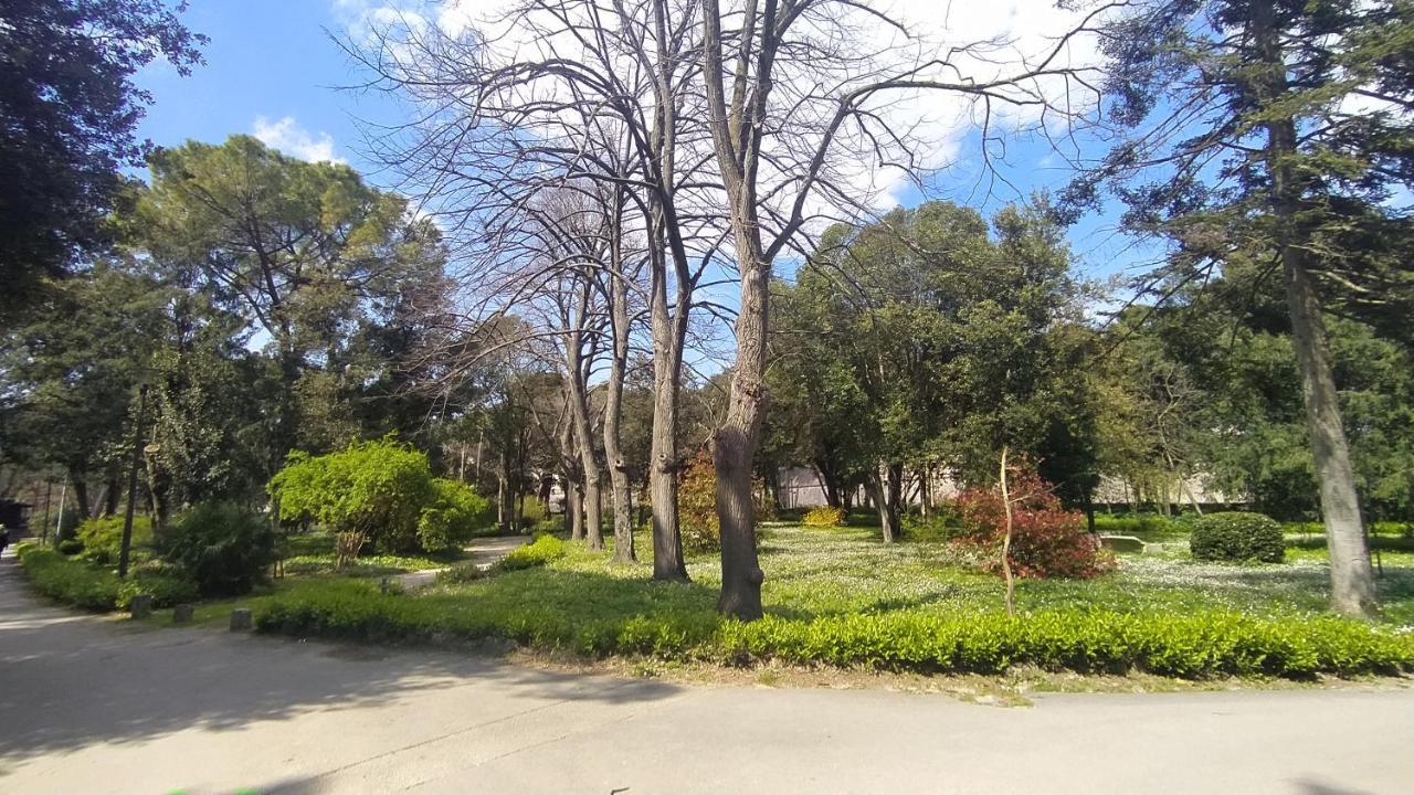Apartment Antique Zadar - City Center Dış mekan fotoğraf
